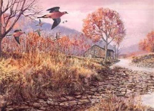 Mourning Dove Tom Beecham Remington Wildlife Art Collection Print 